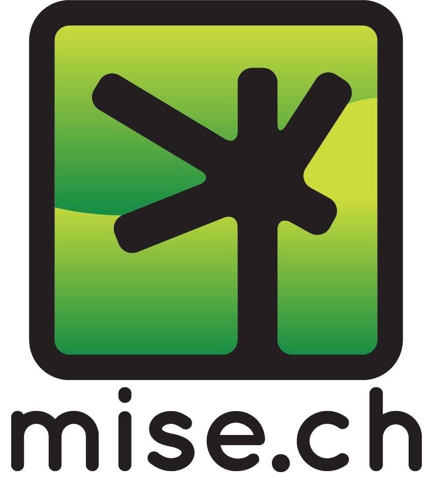 Corsi estivi MISE