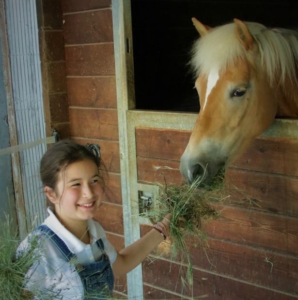 Un cavallo per amico