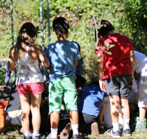 Centro Estivo Scuola Steiner - 4-6 anni